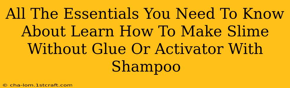 All The Essentials You Need To Know About Learn How To Make Slime Without Glue Or Activator With Shampoo