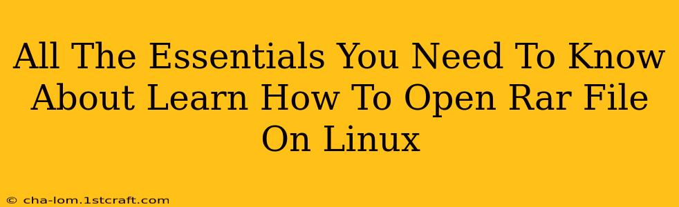 All The Essentials You Need To Know About Learn How To Open Rar File On Linux