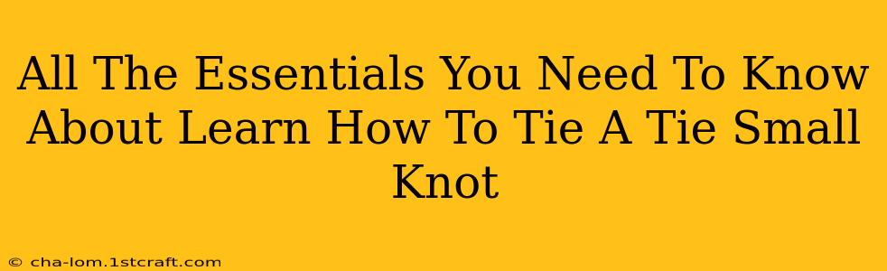 All The Essentials You Need To Know About Learn How To Tie A Tie Small Knot