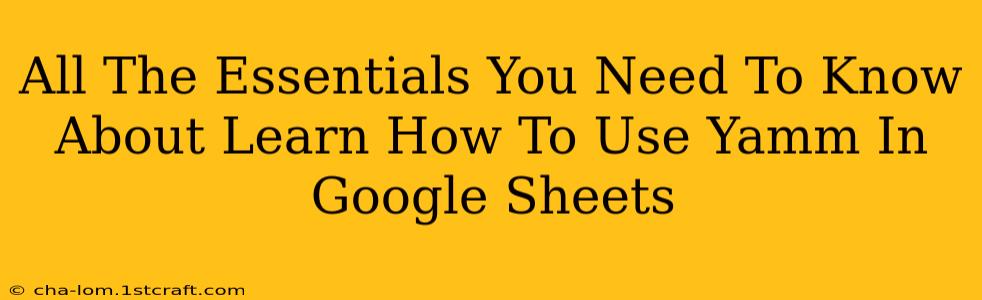 All The Essentials You Need To Know About Learn How To Use Yamm In Google Sheets