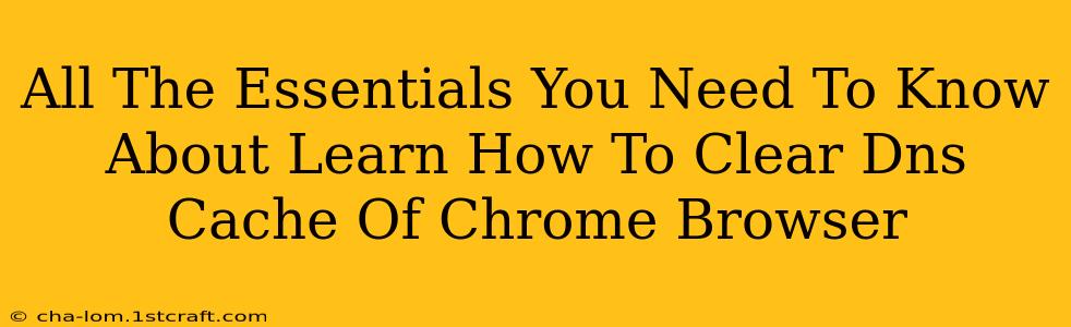 All The Essentials You Need To Know About Learn How To Clear Dns Cache Of Chrome Browser