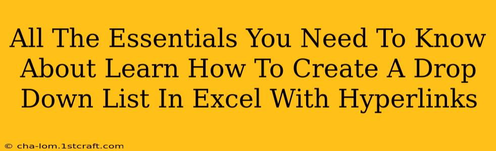 All The Essentials You Need To Know About Learn How To Create A Drop Down List In Excel With Hyperlinks