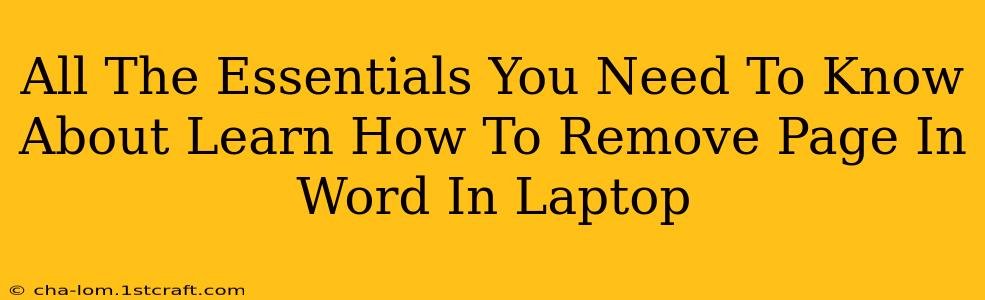 All The Essentials You Need To Know About Learn How To Remove Page In Word In Laptop