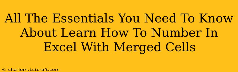 All The Essentials You Need To Know About Learn How To Number In Excel With Merged Cells