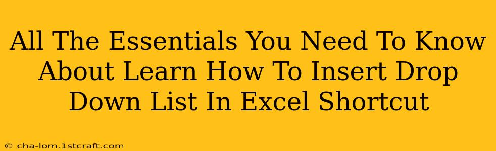 All The Essentials You Need To Know About Learn How To Insert Drop Down List In Excel Shortcut