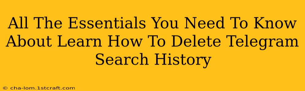 All The Essentials You Need To Know About Learn How To Delete Telegram Search History