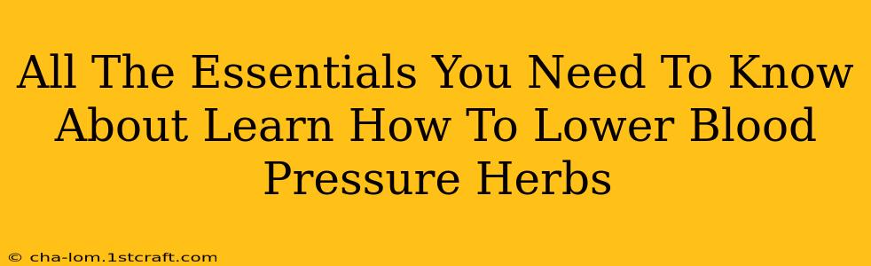 All The Essentials You Need To Know About Learn How To Lower Blood Pressure Herbs