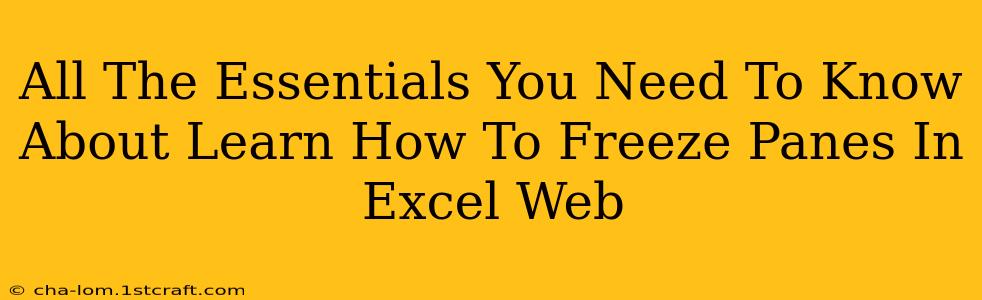 All The Essentials You Need To Know About Learn How To Freeze Panes In Excel Web