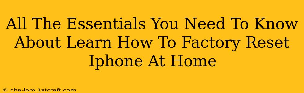 All The Essentials You Need To Know About Learn How To Factory Reset Iphone At Home