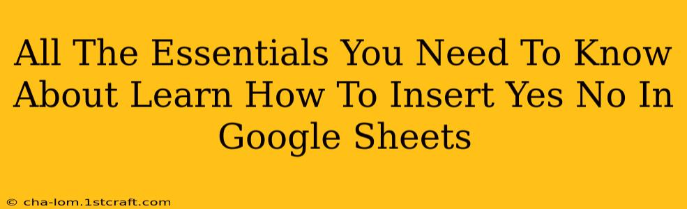 All The Essentials You Need To Know About Learn How To Insert Yes No In Google Sheets