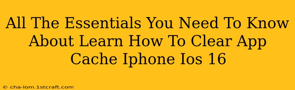 All The Essentials You Need To Know About Learn How To Clear App Cache Iphone Ios 16