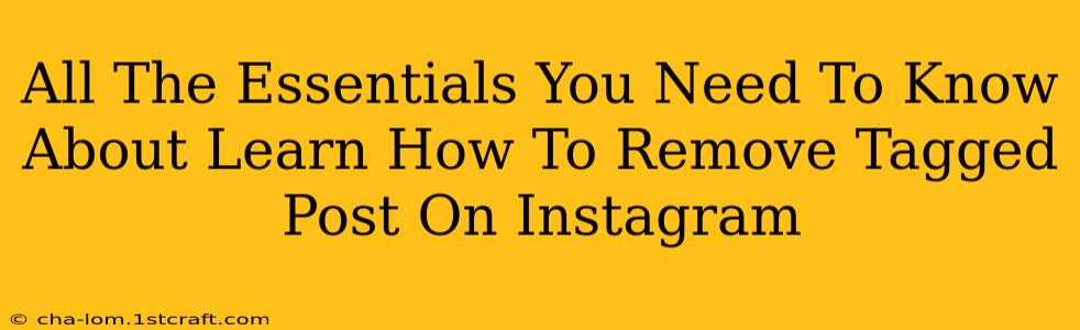 All The Essentials You Need To Know About Learn How To Remove Tagged Post On Instagram