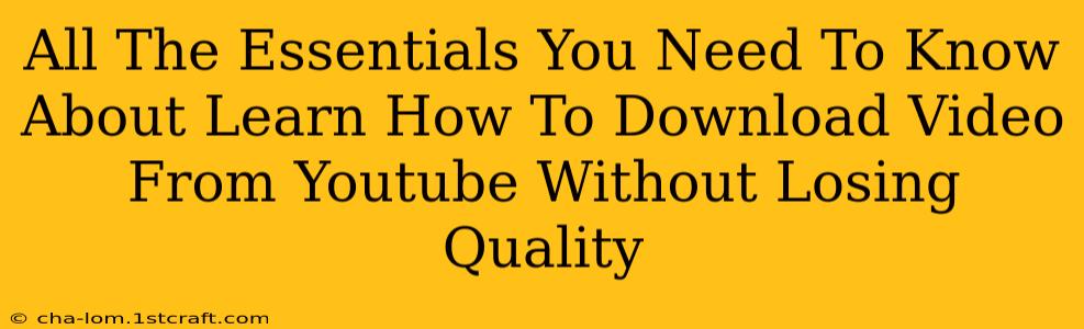 All The Essentials You Need To Know About Learn How To Download Video From Youtube Without Losing Quality