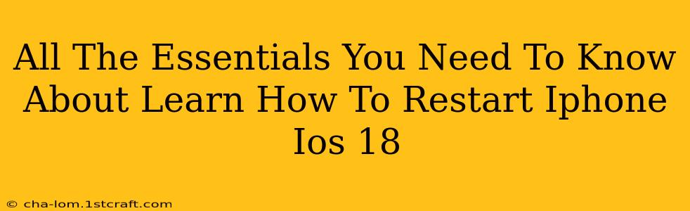 All The Essentials You Need To Know About Learn How To Restart Iphone Ios 18