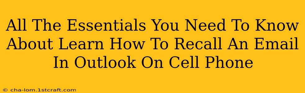 All The Essentials You Need To Know About Learn How To Recall An Email In Outlook On Cell Phone