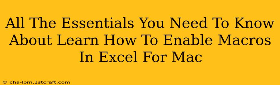 All The Essentials You Need To Know About Learn How To Enable Macros In Excel For Mac