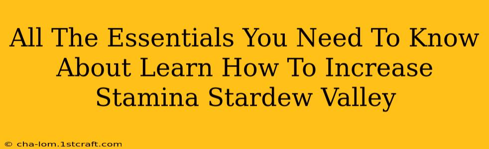 All The Essentials You Need To Know About Learn How To Increase Stamina Stardew Valley