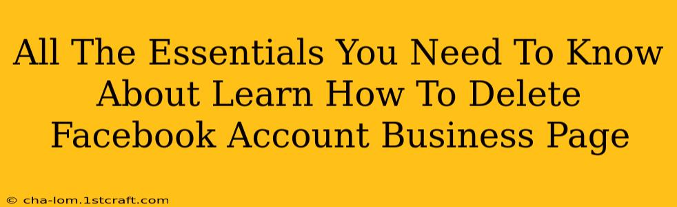 All The Essentials You Need To Know About Learn How To Delete Facebook Account Business Page