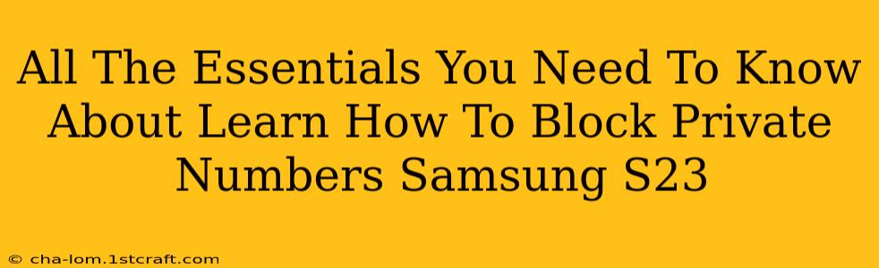 All The Essentials You Need To Know About Learn How To Block Private Numbers Samsung S23