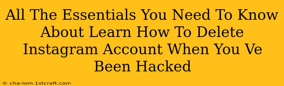 All The Essentials You Need To Know About Learn How To Delete Instagram Account When You Ve Been Hacked