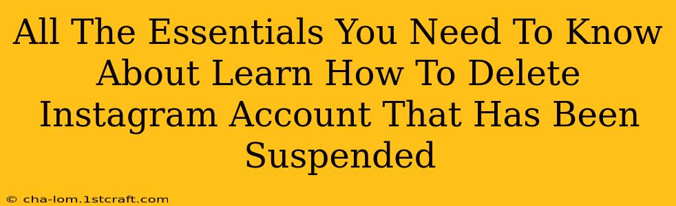 All The Essentials You Need To Know About Learn How To Delete Instagram Account That Has Been Suspended