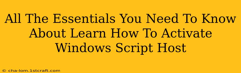 All The Essentials You Need To Know About Learn How To Activate Windows Script Host