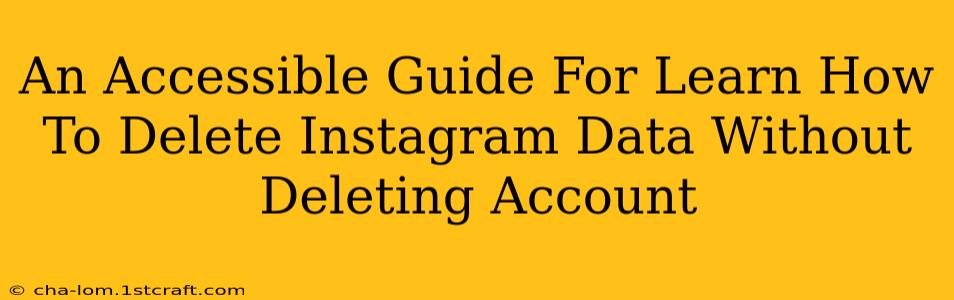 An Accessible Guide For Learn How To Delete Instagram Data Without Deleting Account