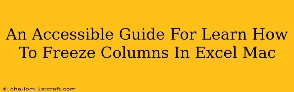 An Accessible Guide For Learn How To Freeze Columns In Excel Mac