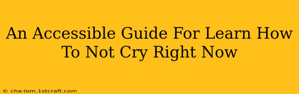 An Accessible Guide For Learn How To Not Cry Right Now