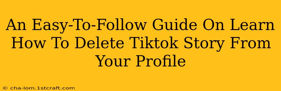 An Easy-To-Follow Guide On Learn How To Delete Tiktok Story From Your Profile