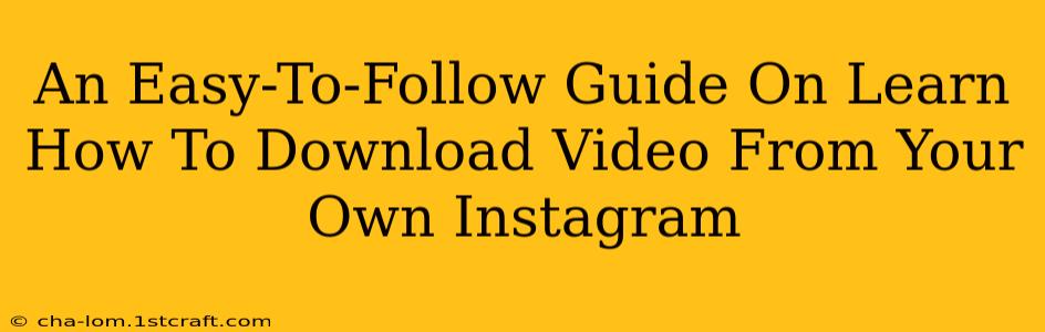 An Easy-To-Follow Guide On Learn How To Download Video From Your Own Instagram