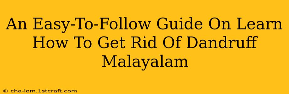 An Easy-To-Follow Guide On Learn How To Get Rid Of Dandruff Malayalam