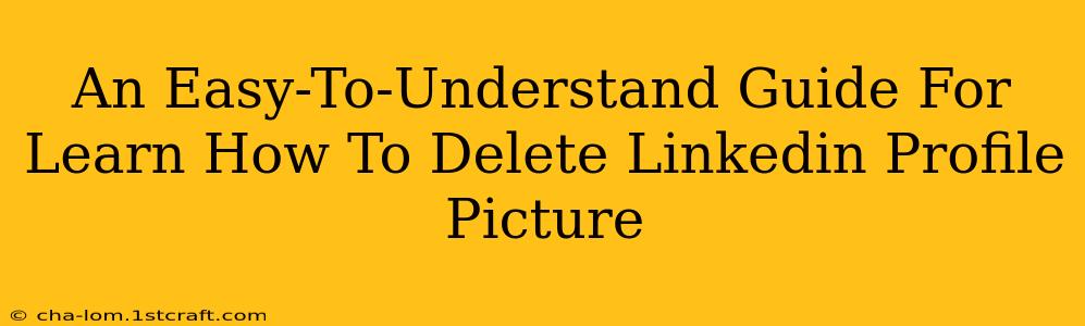 An Easy-To-Understand Guide For Learn How To Delete Linkedin Profile Picture