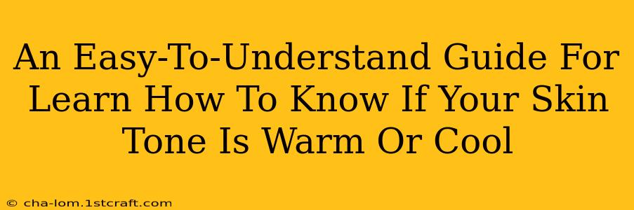 An Easy-To-Understand Guide For Learn How To Know If Your Skin Tone Is Warm Or Cool