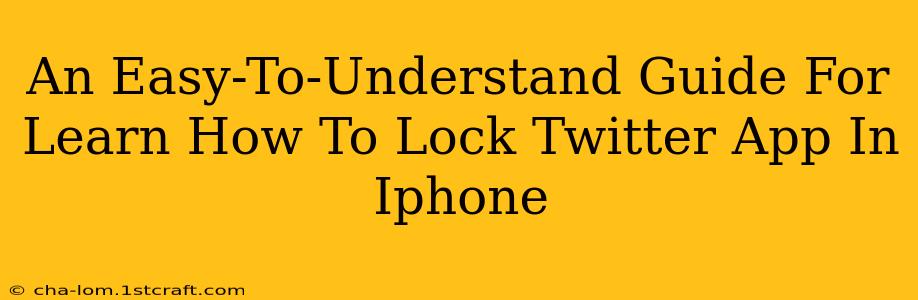 An Easy-To-Understand Guide For Learn How To Lock Twitter App In Iphone