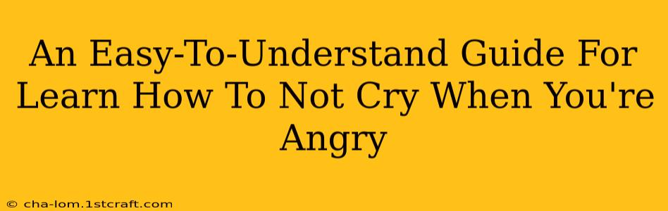 An Easy-To-Understand Guide For Learn How To Not Cry When You're Angry