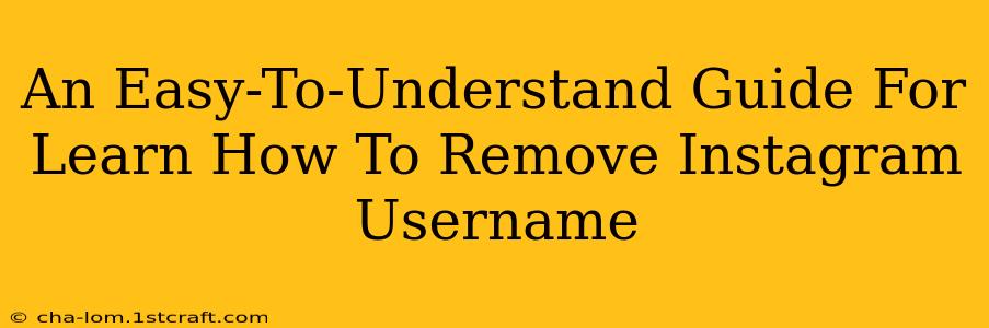 An Easy-To-Understand Guide For Learn How To Remove Instagram Username