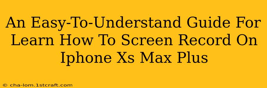 An Easy-To-Understand Guide For Learn How To Screen Record On Iphone Xs Max Plus