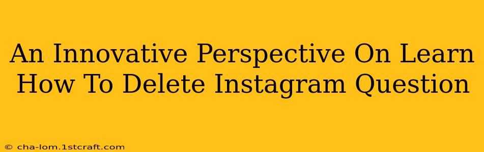 An Innovative Perspective On Learn How To Delete Instagram Question