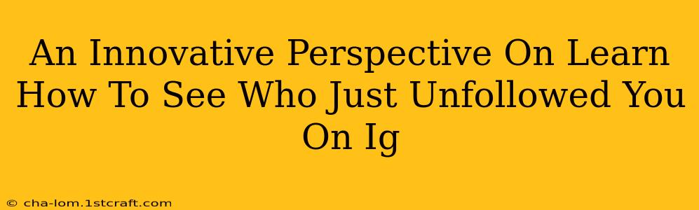 An Innovative Perspective On Learn How To See Who Just Unfollowed You On Ig