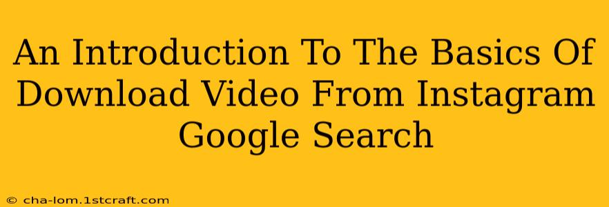 An Introduction To The Basics Of Download Video From Instagram Google Search