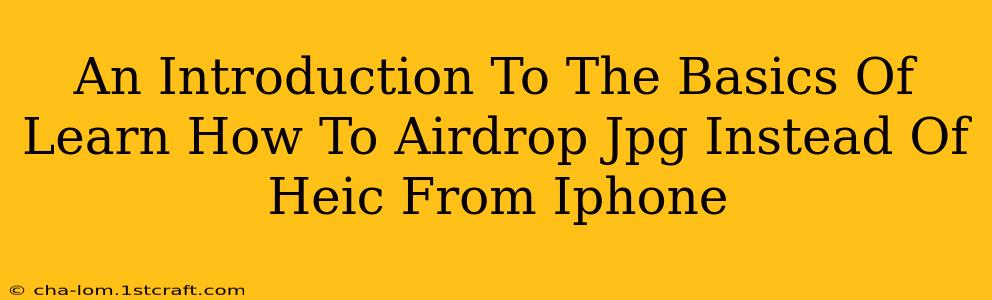 An Introduction To The Basics Of Learn How To Airdrop Jpg Instead Of Heic From Iphone