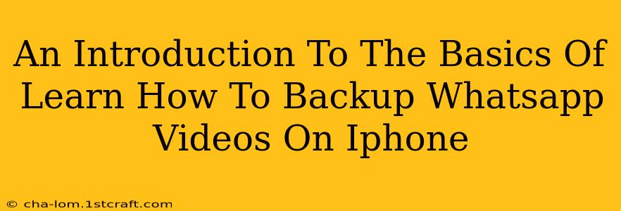 An Introduction To The Basics Of Learn How To Backup Whatsapp Videos On Iphone