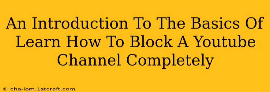 An Introduction To The Basics Of Learn How To Block A Youtube Channel Completely