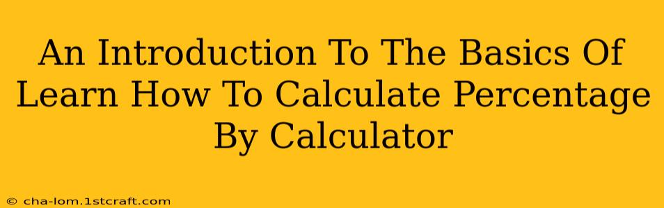 An Introduction To The Basics Of Learn How To Calculate Percentage By Calculator