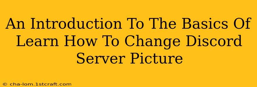 An Introduction To The Basics Of Learn How To Change Discord Server Picture