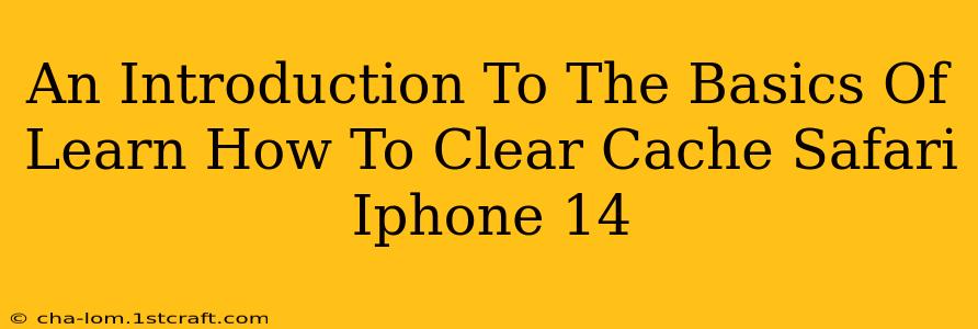 An Introduction To The Basics Of Learn How To Clear Cache Safari Iphone 14