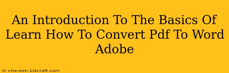 An Introduction To The Basics Of Learn How To Convert Pdf To Word Adobe