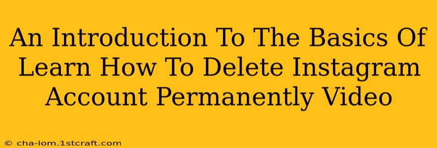 An Introduction To The Basics Of Learn How To Delete Instagram Account Permanently Video