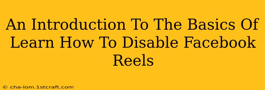 An Introduction To The Basics Of Learn How To Disable Facebook Reels